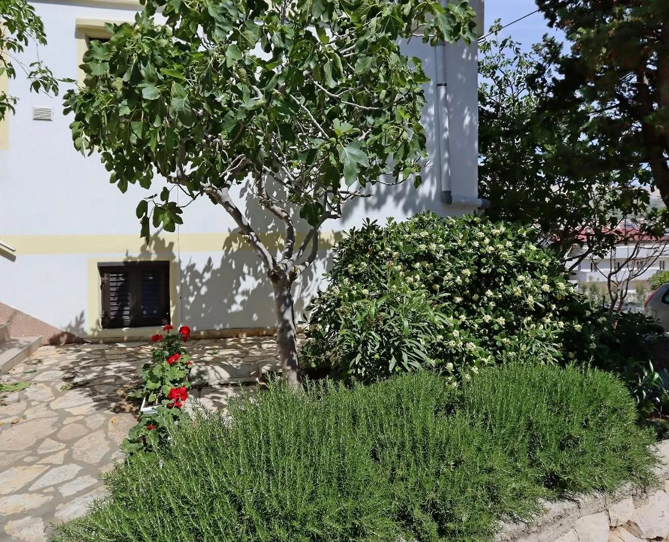 Apartments With A Parking Space Pag - 18345 باغ